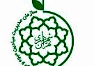 کاهش قیمت خرمای رطب در میادین میوه و تره بار شهرداری تهران